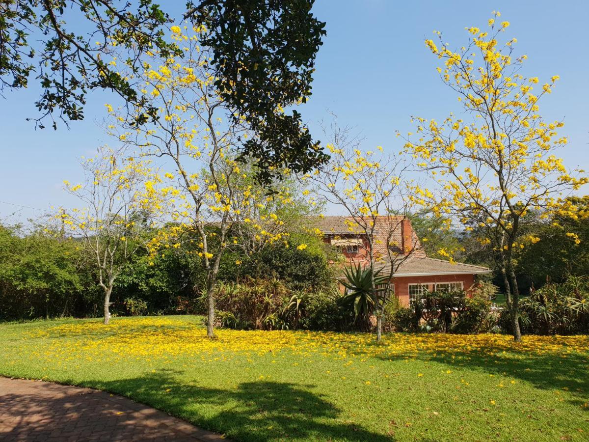 18 Pioneer Bnb Kloof Esterno foto