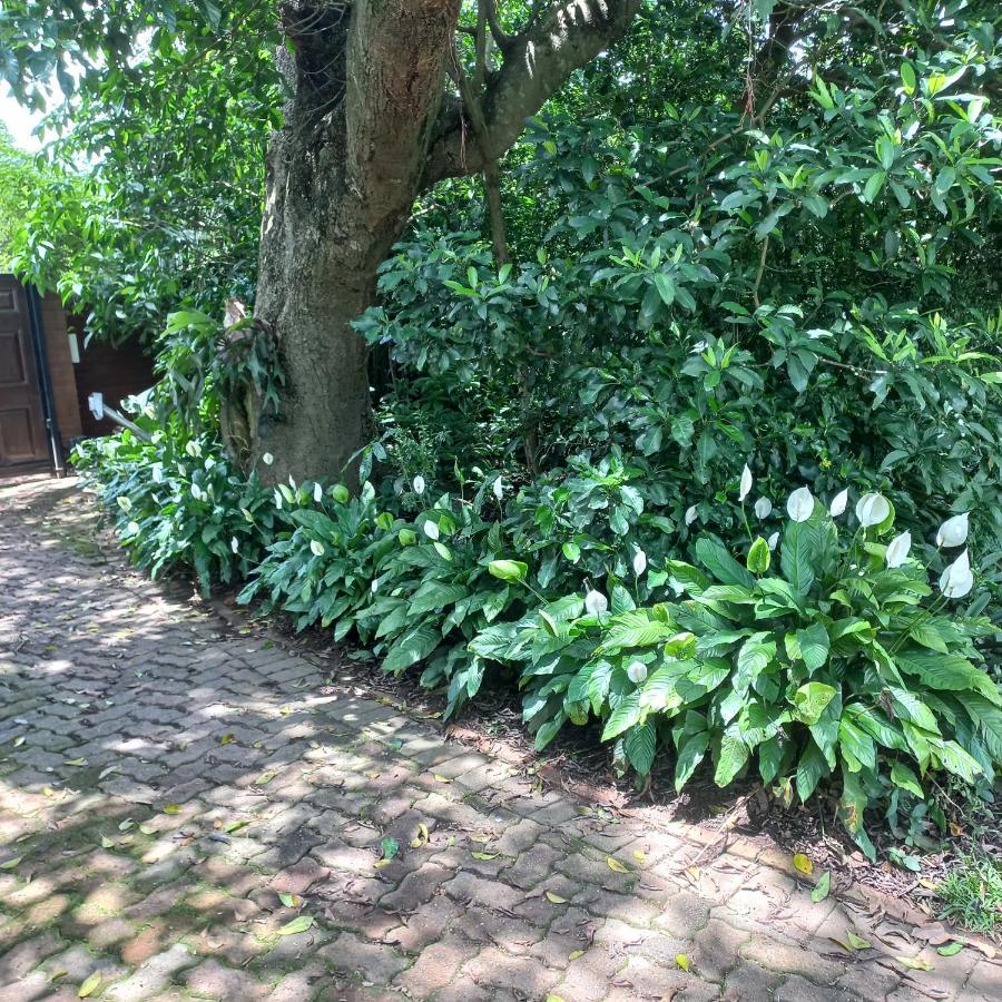 18 Pioneer Bnb Kloof Esterno foto