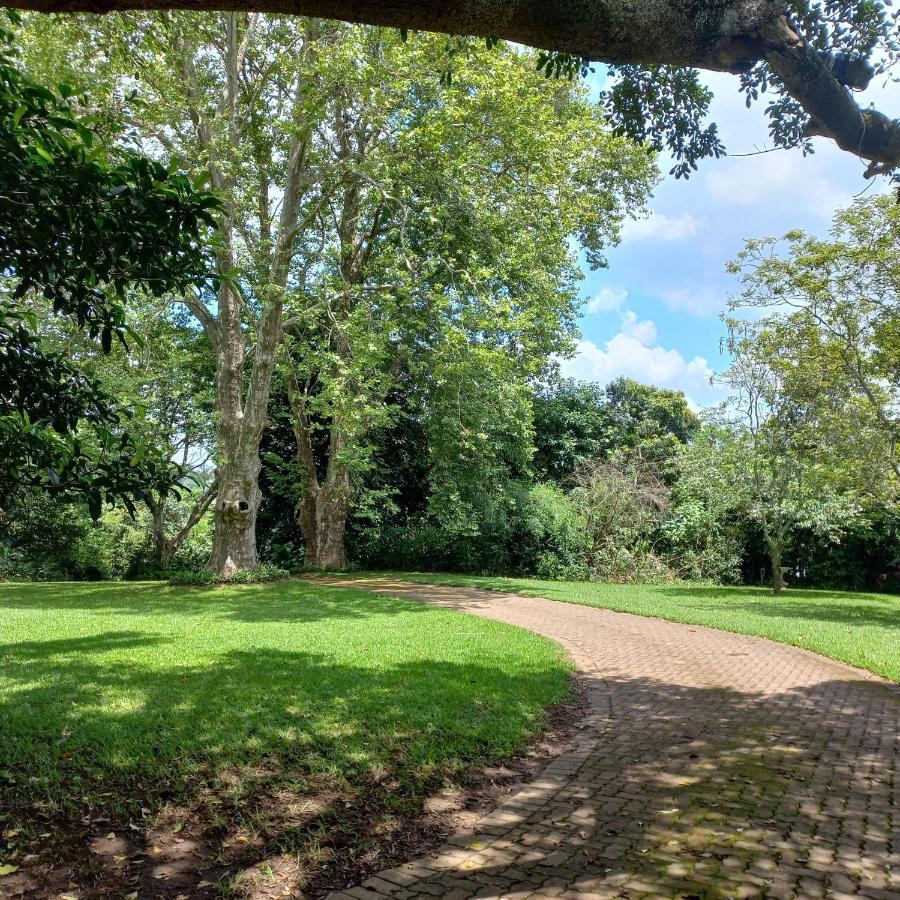 18 Pioneer Bnb Kloof Esterno foto